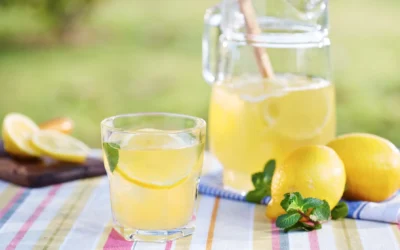 Ambassador Civil Asztaltársaság, azaz Ambassador Club Budapest 2024. április